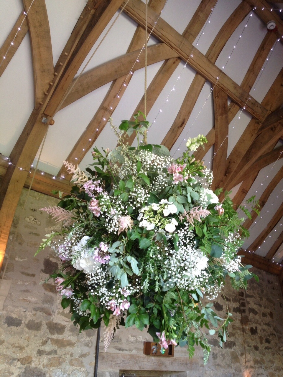 Flower Bombs Flowers Unlimited